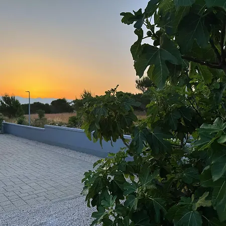House Primorac فيلة *